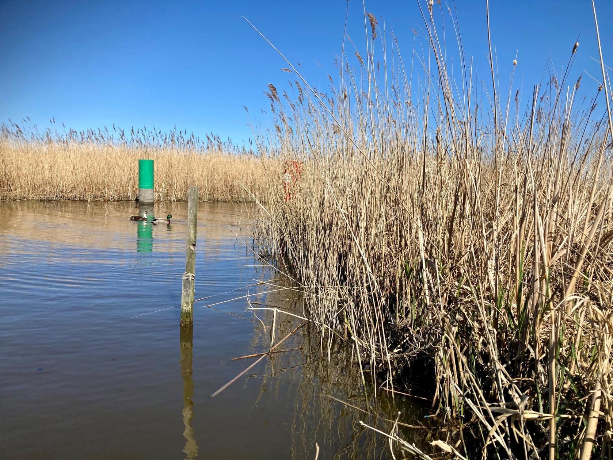 House Marijke With Winter Garden And Direct Access To The Lauwersmeer Anjum Eksteriør bilde